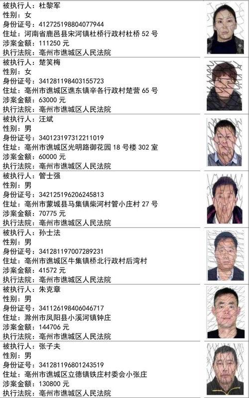 娱乐圈吃瓜小组名单公布,揭秘明星幕后故事，揭秘娱乐圈真相